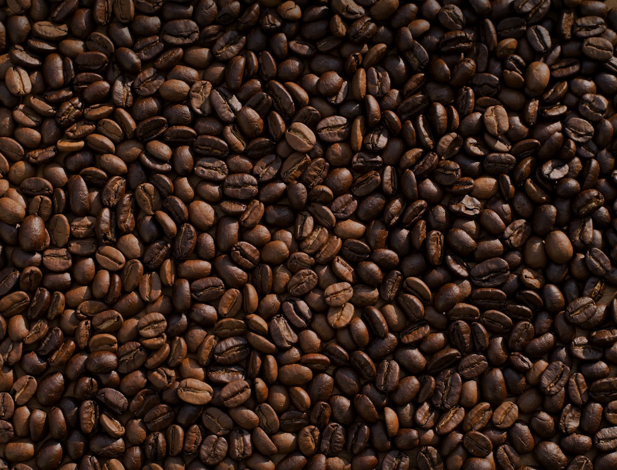 Arabica coffee beans